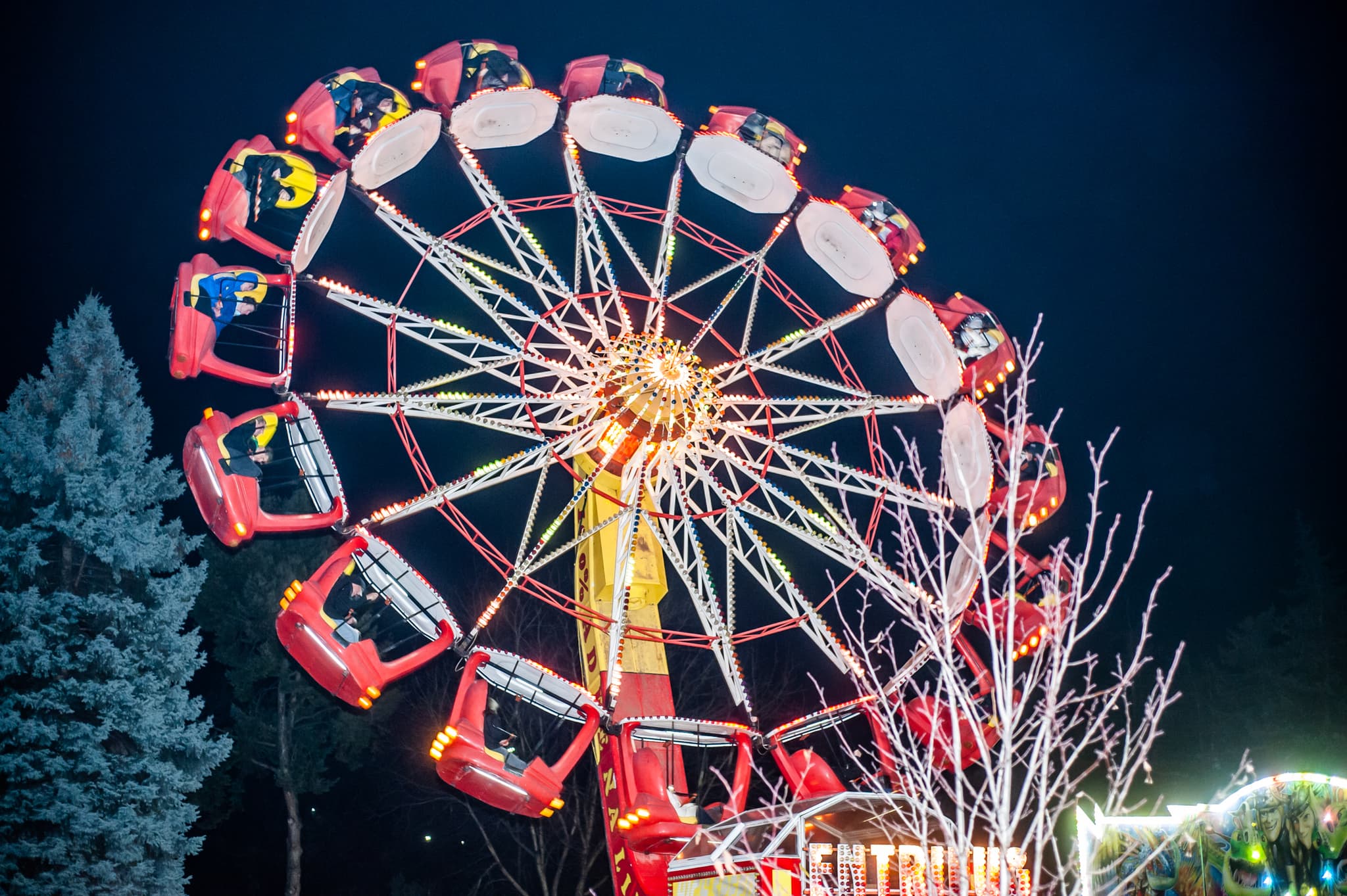 Renato Usatîi a făcut un nou cadou municipiului Bălți – Pomul de Crăciun, iluminatul festiv și decorațiuni (19)