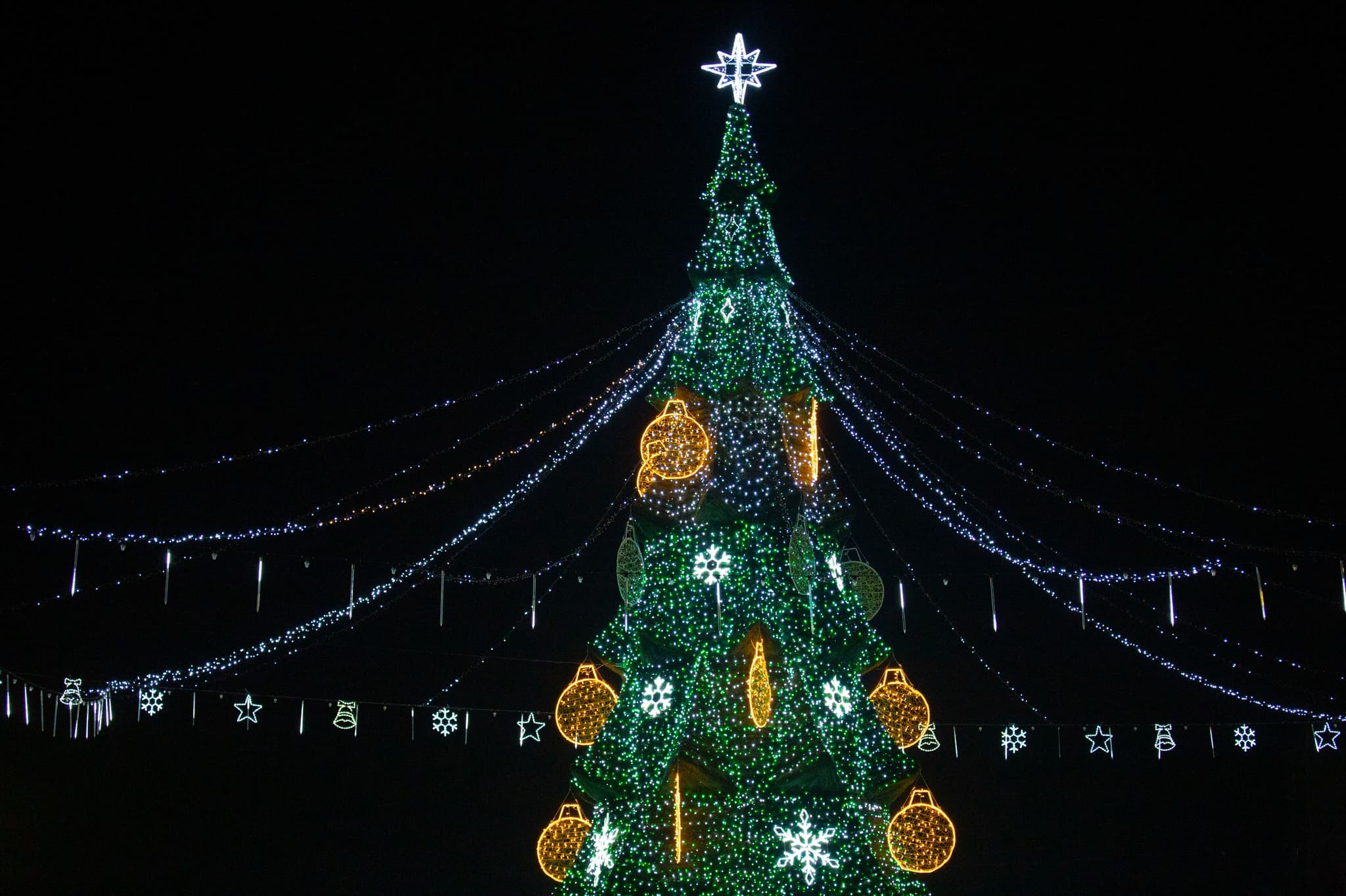 Renato Usatîi a făcut un nou cadou municipiului Bălți – Pomul de Crăciun, iluminatul festiv și decorațiuni (1)