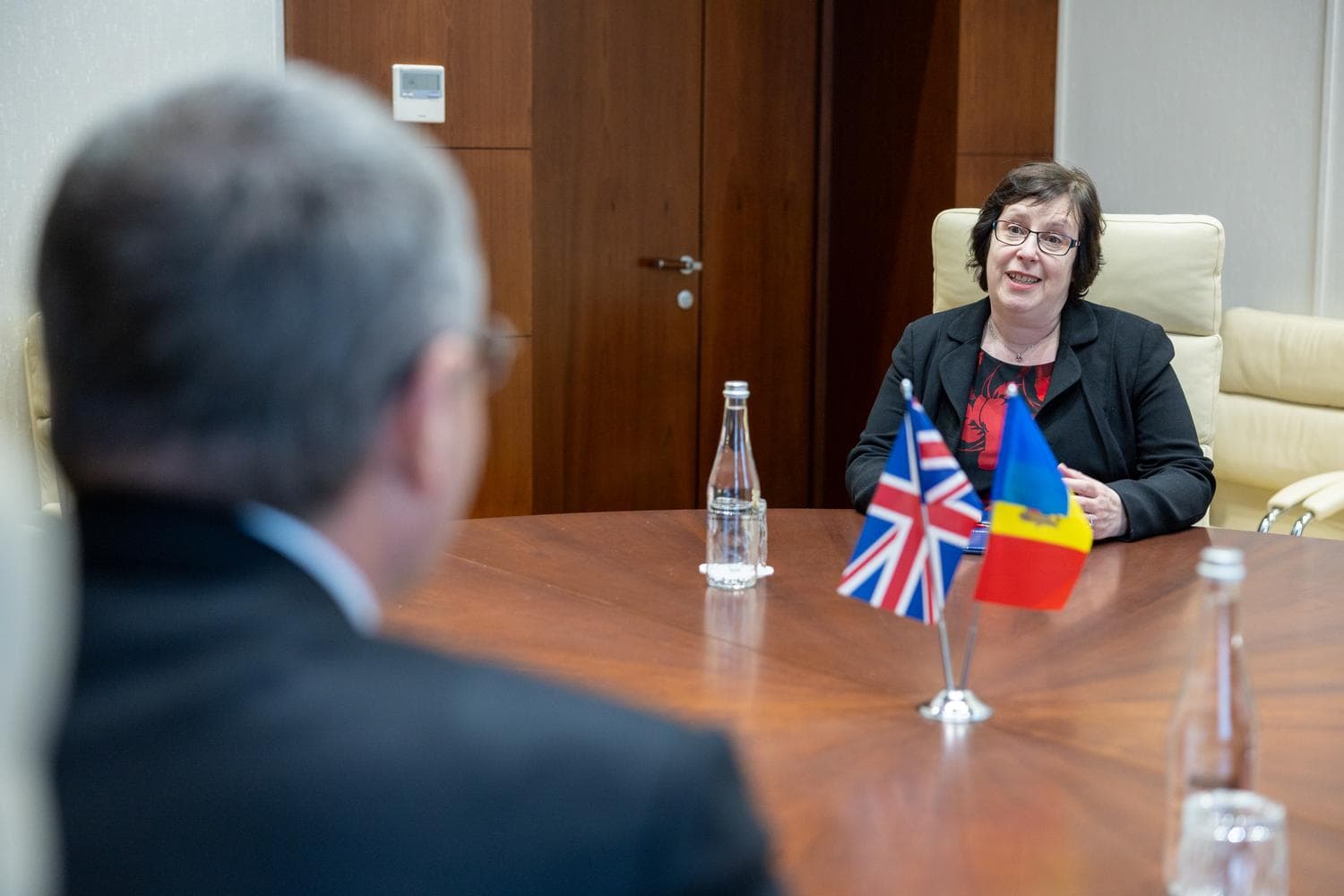 Președintele fracțiunii Partidului Nostru, Renato Usatîi, a discutat cu Ambasadoarea Marii Britanii, E.S. Fern Horine (3)