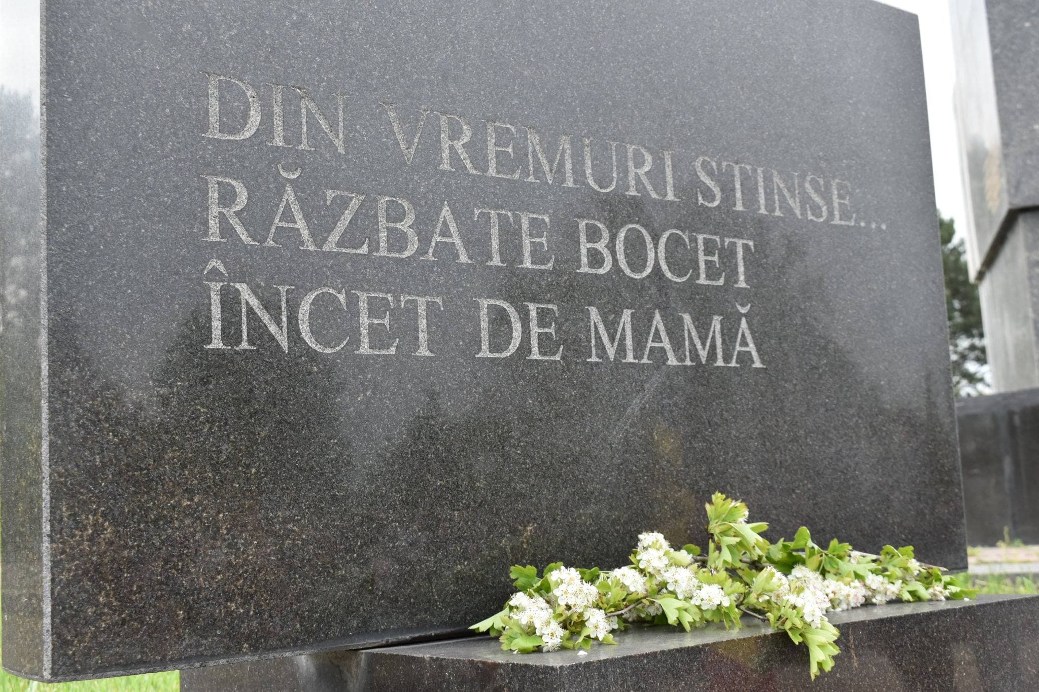 (FOTO) Pe 9 mai, echipele Partidului Nostru din toată țara au omagiat pacea (24)