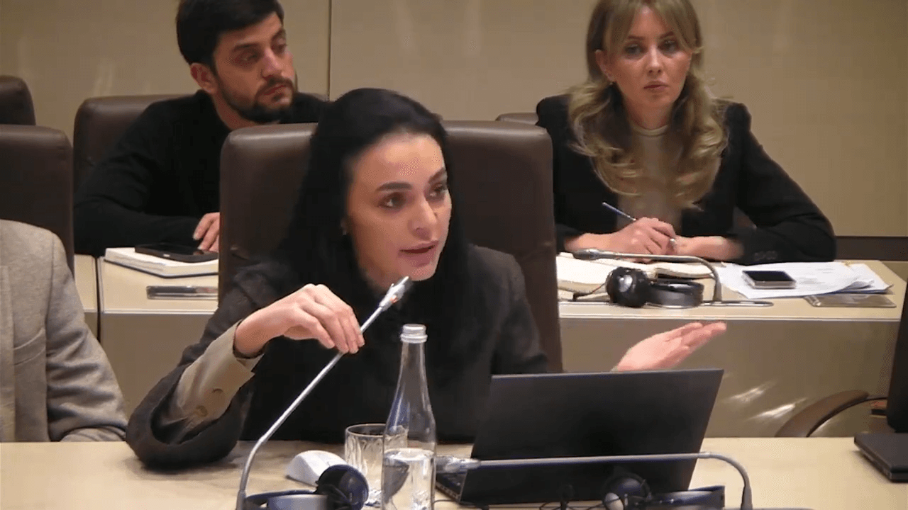  Deputata Partidului Nostru Elena Grițco cere majorarea salariilor pentru militari