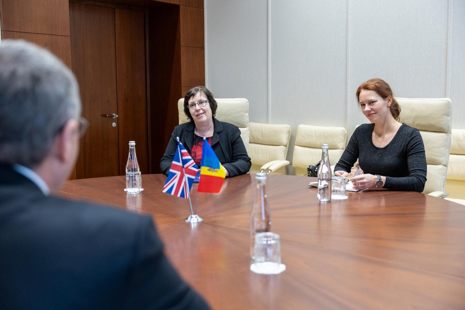 Președintele fracțiunii Partidului Nostru, Renato Usatîi, a discutat cu Ambasadoarea Marii Britanii, E.S. Fern Horine (2)