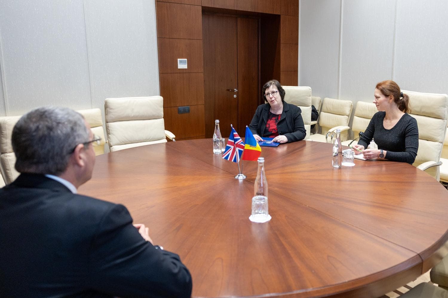 Președintele fracțiunii Partidului Nostru, Renato Usatîi, a discutat cu Ambasadoarea Marii Britanii, E.S. Fern Horine (1)
