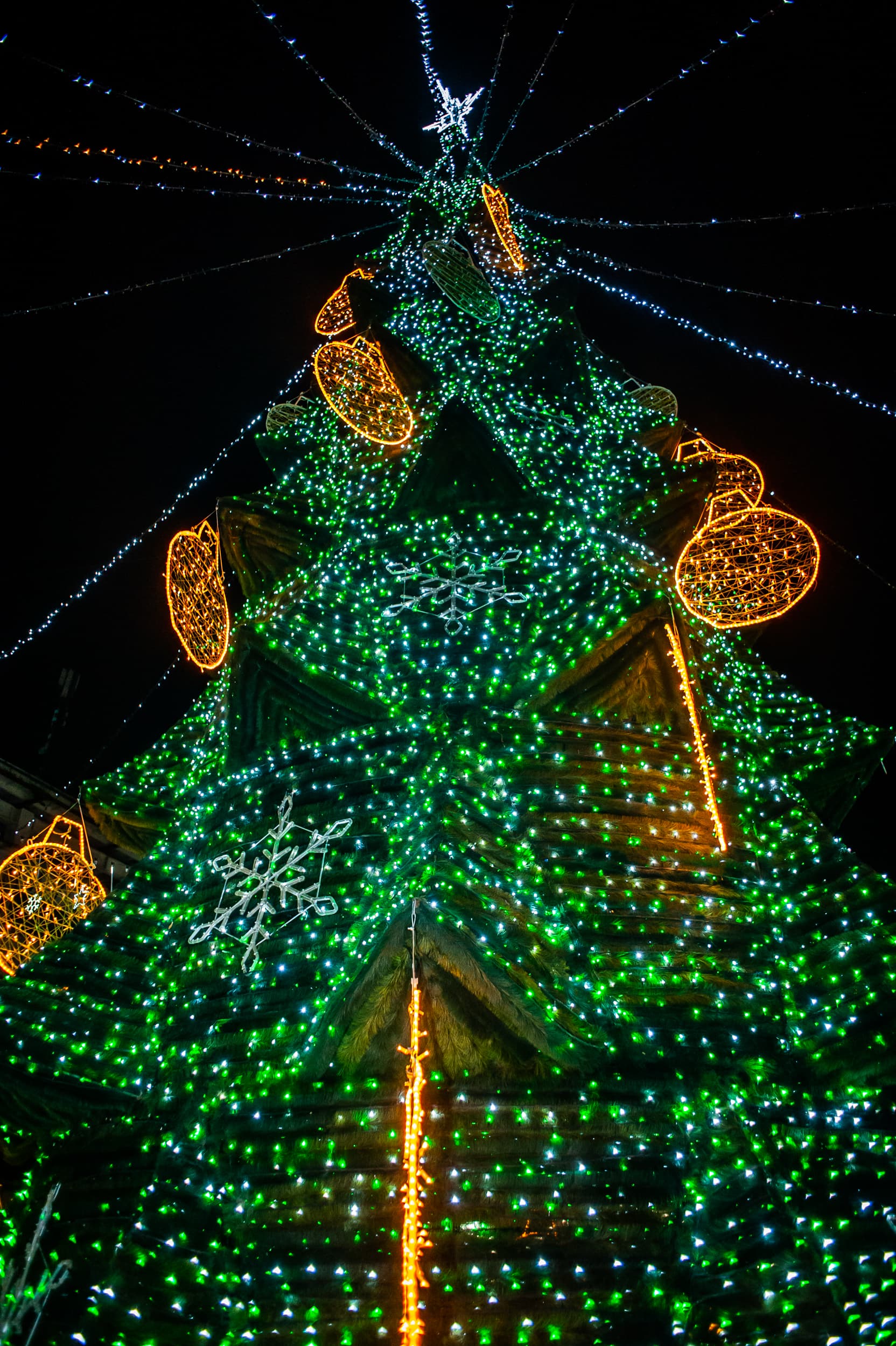 Renato Usatîi a făcut un nou cadou municipiului Bălți – Pomul de Crăciun, iluminatul festiv și decorațiuni (13)