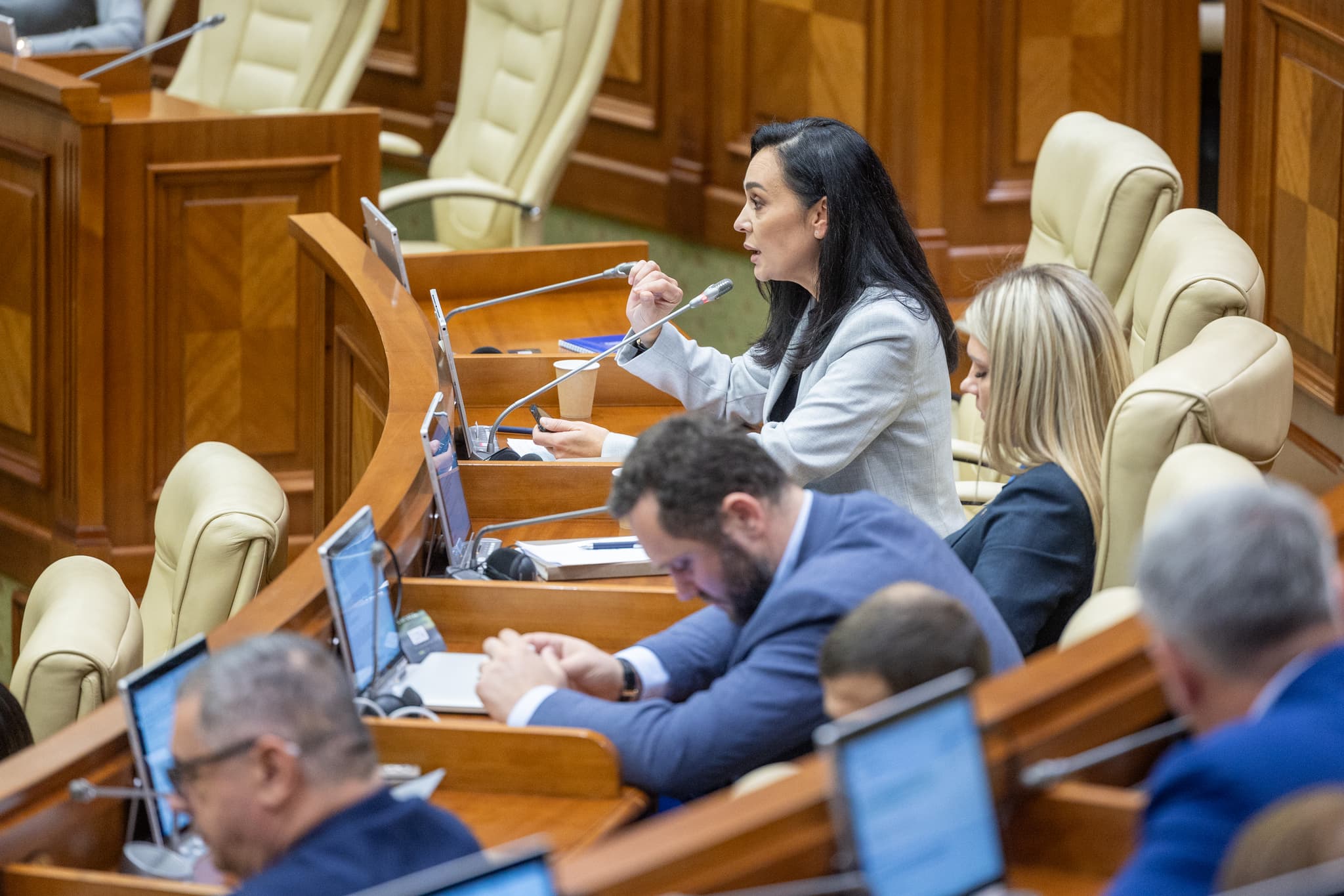 Vicepreședintele Fracțiunii „Partidul Nostru”, Elena Grițco, a cerut Guvernului realizarea fără întârzieri a proiectului Spitalului Regional Bălți