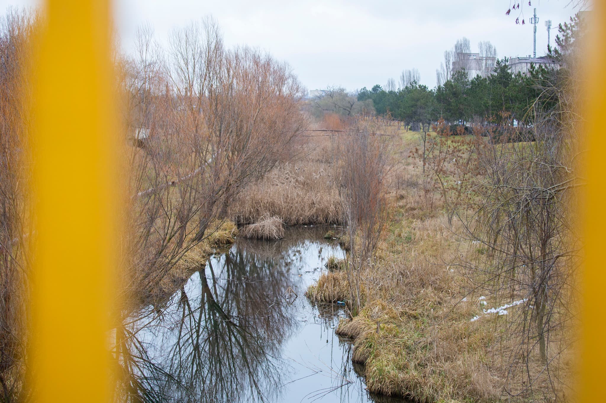 Primăria Bălți lansează proiectul ecologic de curățare a râului Răut pentru un mediu mai curat (4)
