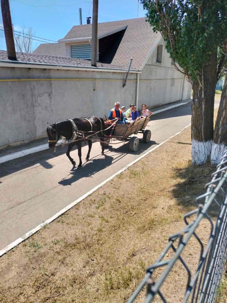 Înghețată, călătorii cu eco-transportul, joc cu personaje din povești, facepainting, așa au sărbătorit 1 iunie orașele și satele conduse de primarii Partidului Nostru (4)
