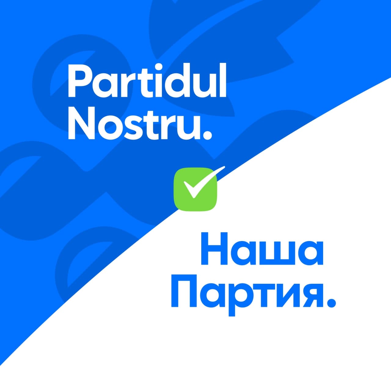 Пресс-релиз: Наша Партия оспорила решение ЦИК о частной поездке ряда депутатов в Берлин и требует отменить обязательства по финансовой отчётности